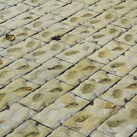 Pflasterarbeiten in Wriezen Pflasterarbeiten in Wriezen